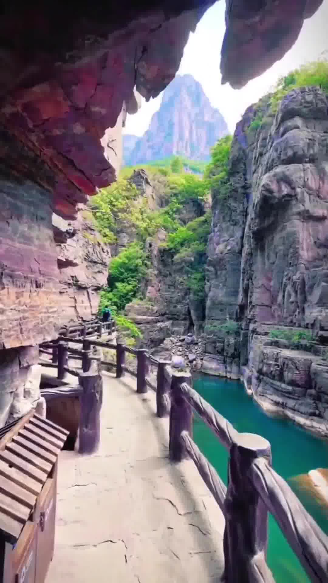 河南，学习之光，自信与成就的力量源泉