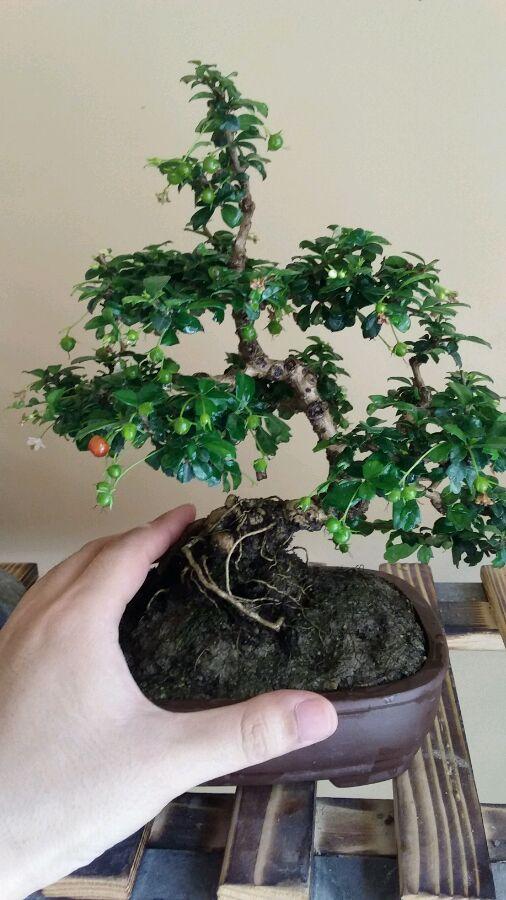 福建，传承与创新，打造高质量发展新篇章