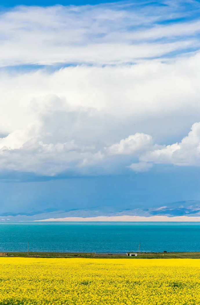 青海盛邀，领导亲临，朋友共聚盛典