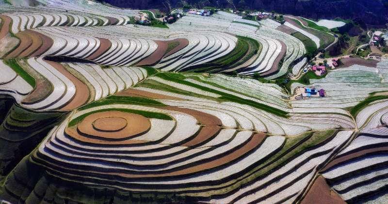 宁夏盛情邀请，尊敬的领导与朋友们共襄盛举